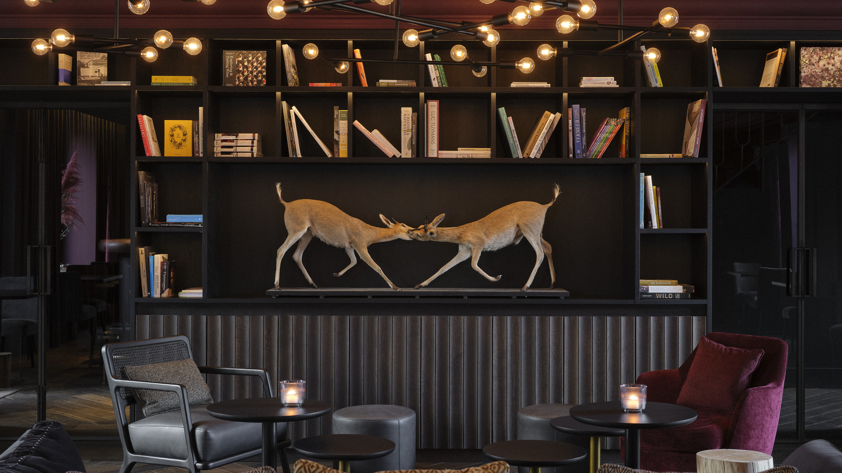 The moody lounge and library.